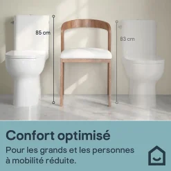 GoodHome Pack WC à poser sur-élevé sans bride vortex avec abattant déclipsable et frein de chute, sortie horizontale, Cavally