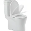 Sanindusa Pack WC cuvette+réservoir+abattant frein de chute+fixations caréné évacuation arrière alim. chasse d'eau par le côté blanc