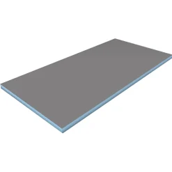 Wedi Panneau de construction 125 x 60 x 1 cm