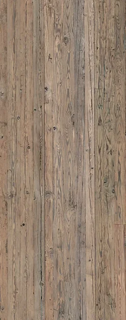 Schulte Panneau mural de salle de bains l.100x255 cm, décor bois, DécoDesign