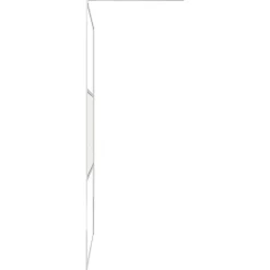 Vidaxl Paroi de douche à l' italienne (100x195 cm - Transparent)