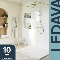 Paroi de douche à l'italienne centrale l.120 x 195 cm, profilés alu doré brossé, GoodHome Ledava