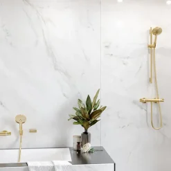 Hansgrohe Pommeau de douche Raindance Select S EcoSmart 120 3 jets + flexible 1,60 m Isiflex aspect doré poli