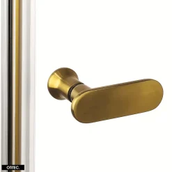 Porte De Douche|Otitec Porte de Douche Encastrée Pivotante - 160 x 195 - OR BROSSÉ - NEW SOLEO