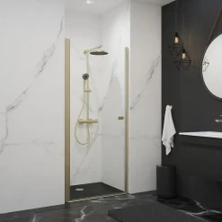 Schulte Porte de douche pivotante en niche, l.60 x H.192 cm, verre transparent, profilé or, NewStyle