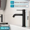 Dileci Robinet à bec court pour salle de bain couleur noir mat -