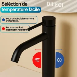 Dileci Robinet à bec court pour salle de bain couleur noir mat -