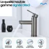 Robinet Lave-Mains|Dileci Robinet compact pour salle de bain couleur gris métallisé -