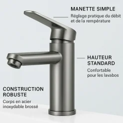 Robinet Lave-Mains|Dileci Robinet compact pour salle de bain couleur gris métallisé -