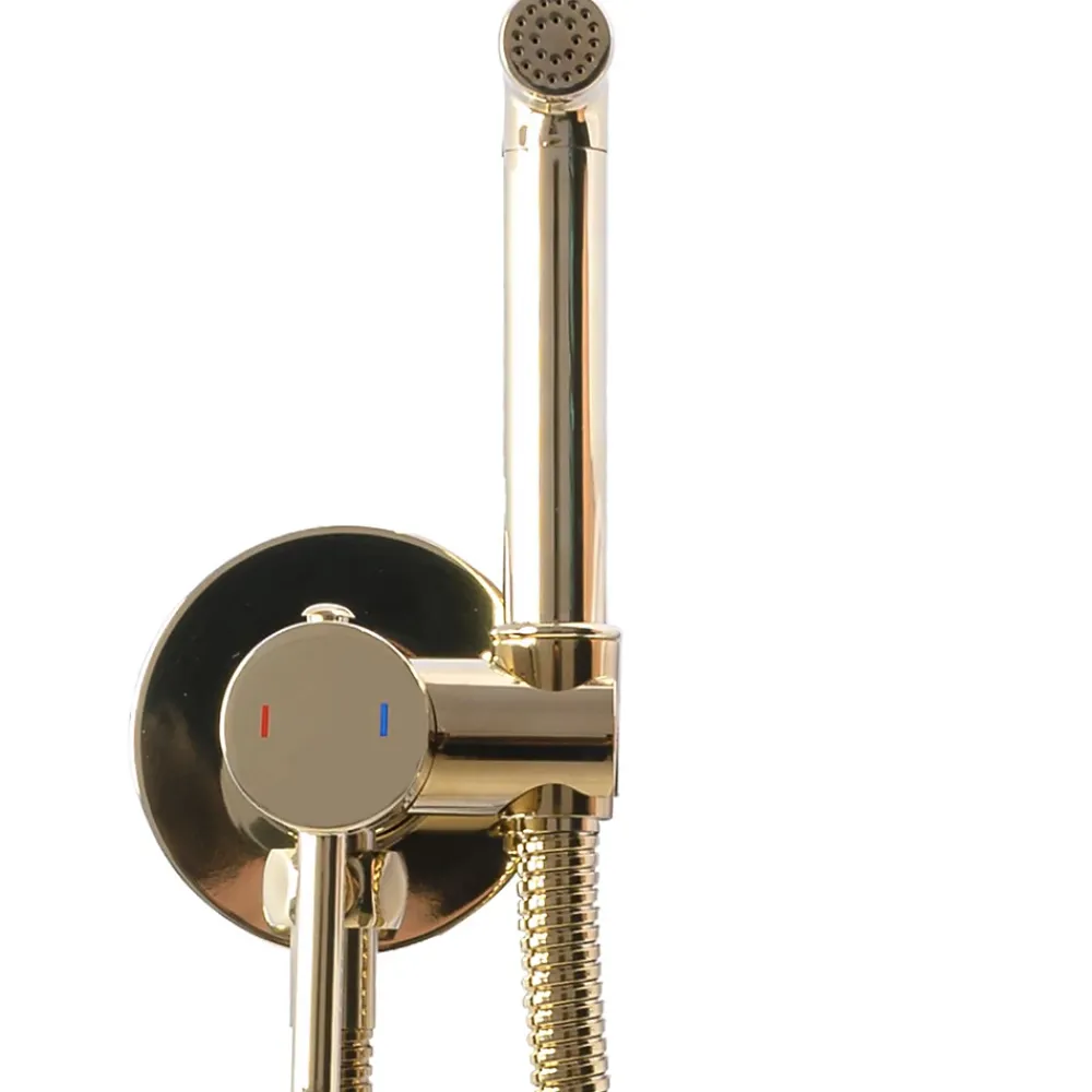 Rea Robinet de bidet encastré Lungo loop gold