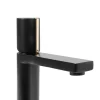 Rea Robinet de lavabo Icon black low