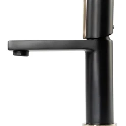 Rea Robinet de lavabo Icon black low