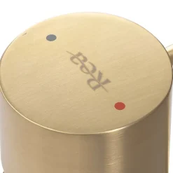Robinet Lave-Mains|Rea Robinet de lavabo Tess brush gold high