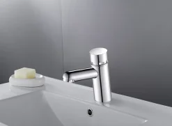 Edouard Rousseau Robinet de lave-mains eau froide chromé Temporise push