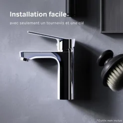 Robinet Lavabo Et Vasque|Am.Pm Europe Robinet Salle de Bain Mitigeur de lavabo, Chromé, Hit taille M, FTA02200 AM.PM