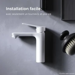 Robinet Lavabo Et Vasque|Am.Pm Europe Robinet Salle de Bain Mitigeur de lavabo avec bonde clic clac, Blanc, taille S, FTA82133 AM.PM