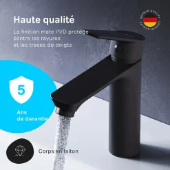 Am.Pm Europe Robinet Salle de Bain Mitigeur lavabo, Noir, taille M, FTA02122 AM.PM
