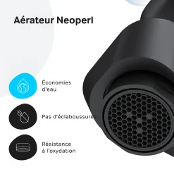 Am.Pm Europe Robinet Salle de Bain Mitigeur lavabo, Noir, taille M, FTA02122 AM.PM