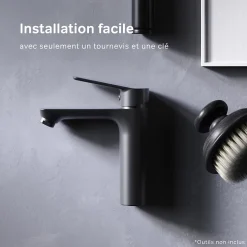 Am.Pm Europe Robinet Salle de Bain Mitigeur lavabo, Noir, taille M, FTA02122 AM.PM