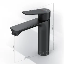 Am.Pm Europe Robinet Salle de Bain Mitigeur lavabo, Noir, taille M, FTA02122 AM.PM