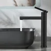 Homelody Robinet Salle de Bain Noir Mitigeur pour Vasque Haut Bec Pivotant Robinetterie de Lavabo en Acier Inox Design Moderne