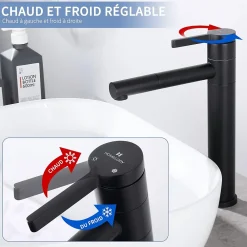 Homelody Robinet Salle de Bain Noir Mitigeur pour Vasque Haut Bec Pivotant Robinetterie de Lavabo en Acier Inox Design Moderne