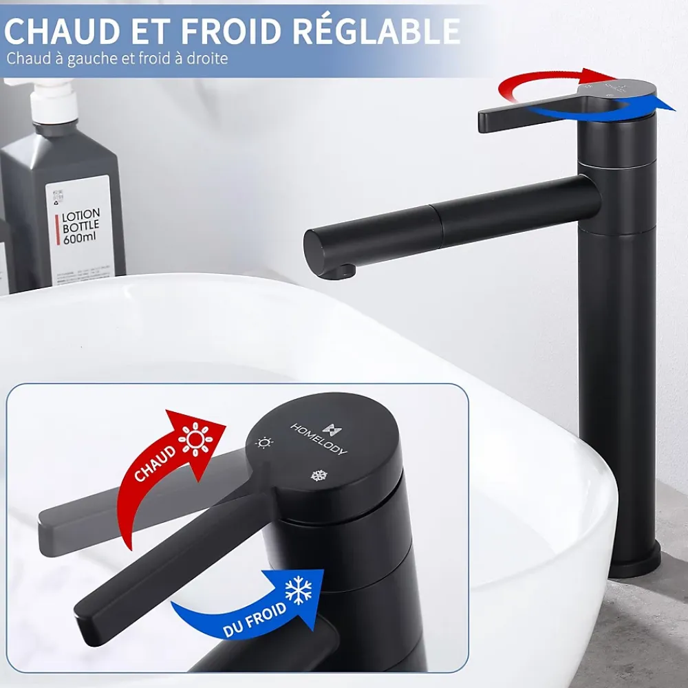 Homelody Robinet Salle de Bain Noir Mitigeur pour Vasque Haut Bec Pivotant Robinetterie de Lavabo en Acier Inox Design Moderne
