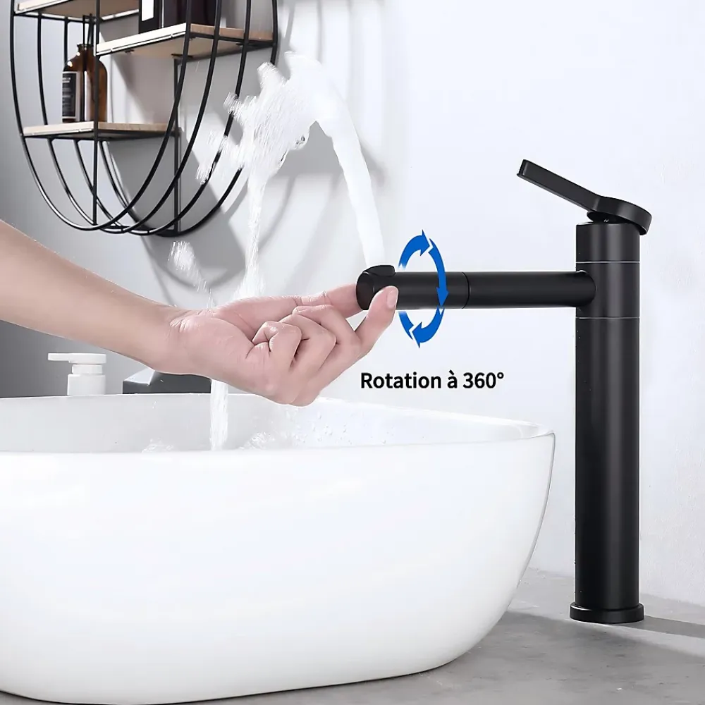 Homelody Robinet Salle de Bain Noir Mitigeur pour Vasque Haut Bec Pivotant Robinetterie de Lavabo en Acier Inox Design Moderne