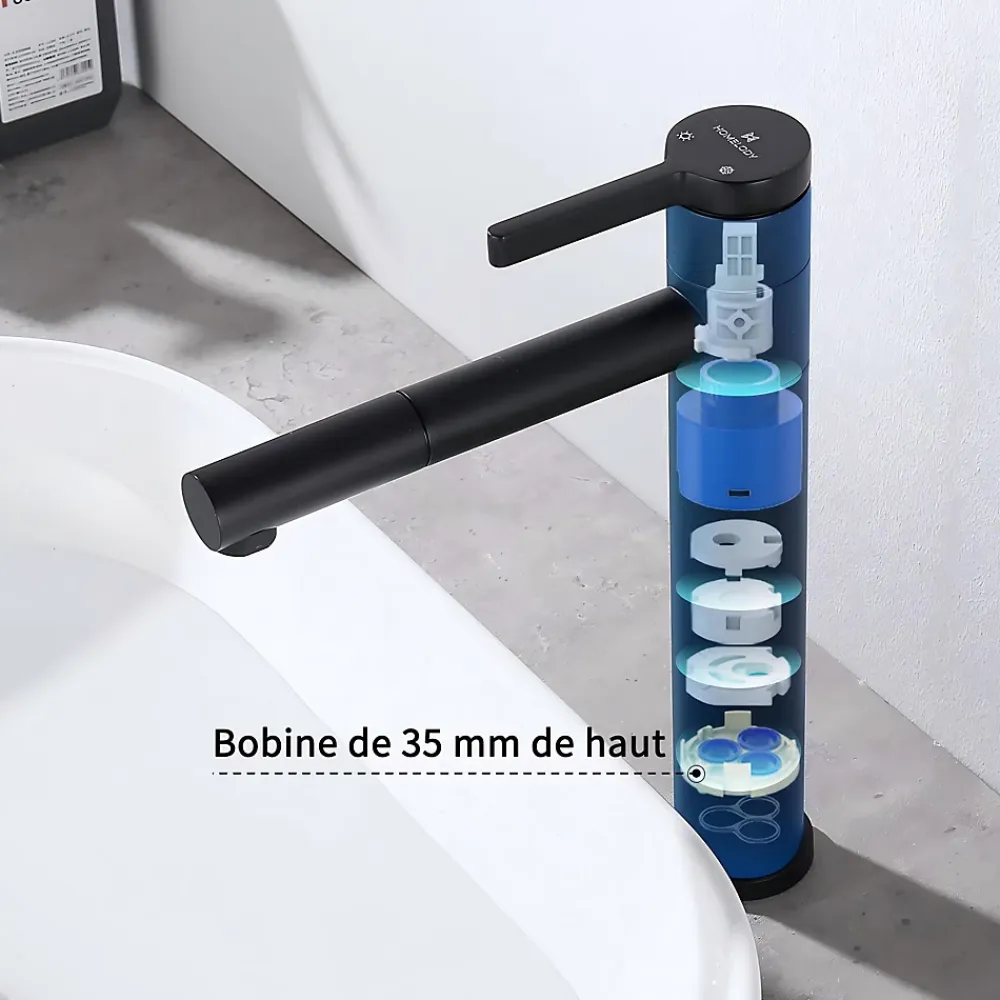 Homelody Robinet Salle de Bain Noir Mitigeur pour Vasque Haut Bec Pivotant Robinetterie de Lavabo en Acier Inox Design Moderne