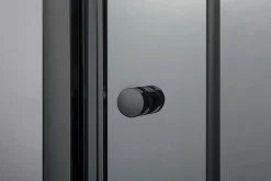 Swiss Aqua Technologies SAT PROJECT Porte de douche 120x185cm coulissante avec profilé noir mat (SATPROMUD120CT)