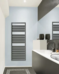 Acova Sèche-serviettes eau chaude en acier Astrakan anthracite 608W