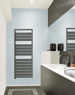 Acova Sèche-serviettes électrique à inertie fluide Astrakan anthracite 750W