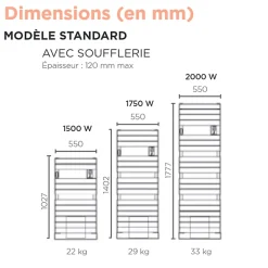 Thermor Sèche-serviettes Riviera 2 avec soufflerie 1750W vert eucalyptus - - 498609