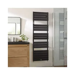 Thermor Sèche-serviettes Riviera 2 eau chaude 495W noir carbone - - 496107