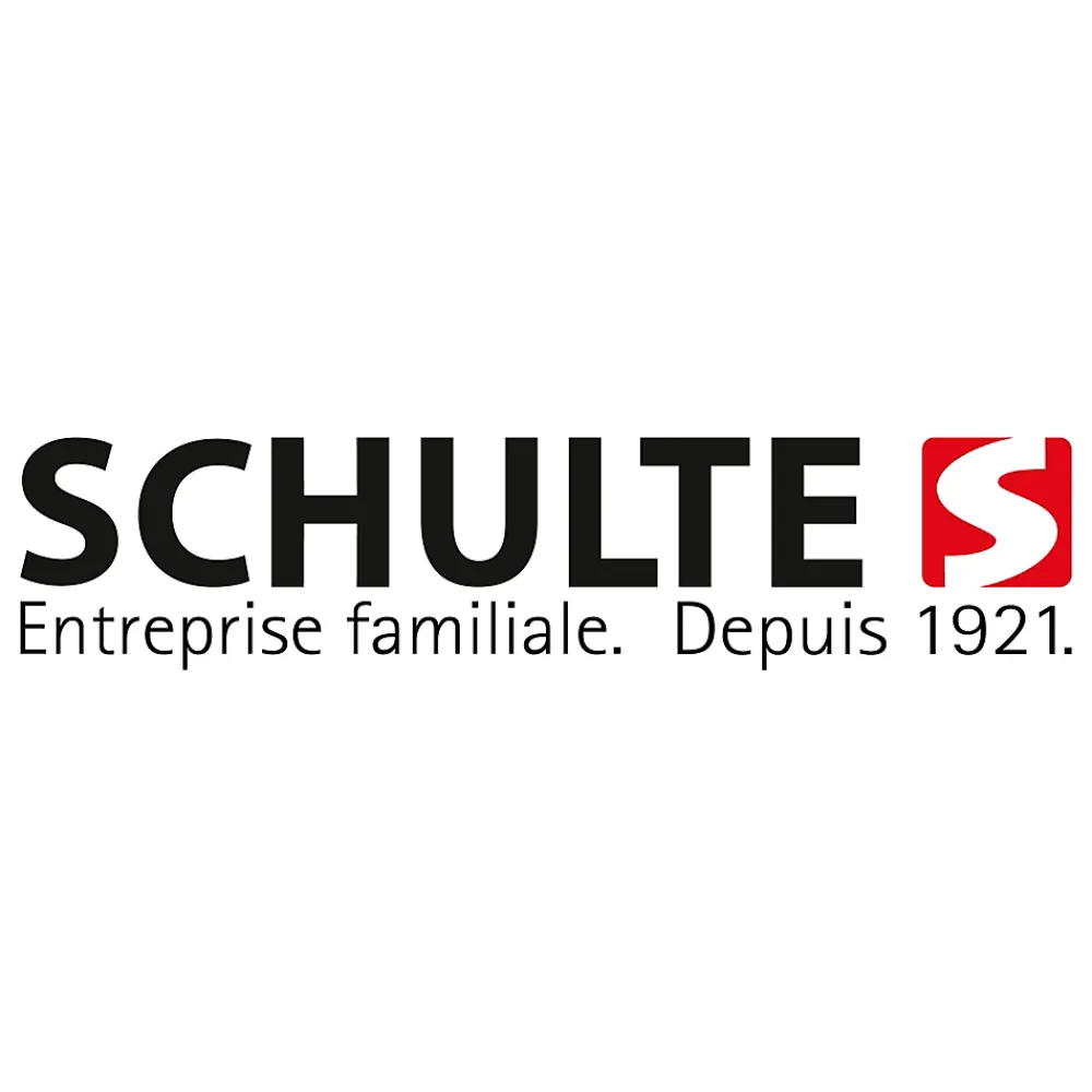 Schulte colonne de douche - mitigeur thermostatique - robinetterie avec douche de tête effet pluie - douchette 3 jets - chromé