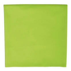 Sols - Serviette ATOLL Vert pomme (Taille unique)
