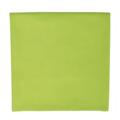 Gant De Toilette|Sols - Serviette ATOLL Vert pomme (Taille unique)