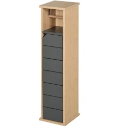Armoire De Salle De Bains|Homcom Support papier toilette - porte-papier toilette - armoire pour papier toilette - 2 niveaux + sortie papier MDF gris bambou