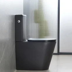 Wc À Poser|Swiss Aqua Technologies Brevis WC à poser sans bride + abattant softclose, noir mat (SATBRE031RREXVPBKM)