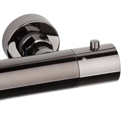 Swiss Aqua Technologies Colonne de douche, douchette stick Mitigeur thermostatique Barre réglable en hauteur, Gun métal SATDASSTK