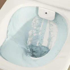 Swiss Aqua Technologies Infinitio WC sans bride avec fonction bidet thermostatique + Abattant softclose (SATINF011RREXPBFCT)