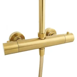 Swiss Aqua Technologies SAT DARK Colonne de douche avec Mitigeur Thermostatique, Or Brossé (SATDASSTKBZ)