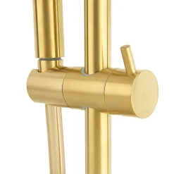 Swiss Aqua Technologies SAT DARK Colonne de douche avec Mitigeur Thermostatique, Or Brossé (SATDASSTKBZ)