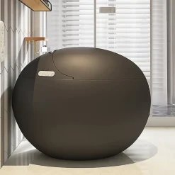 Wc Japonais|Japan Wc Toilette japonaise moderne Kirei noir