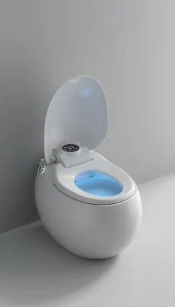 Wc Japonais|Japan Wc Toilette japonaise moderne Dojo