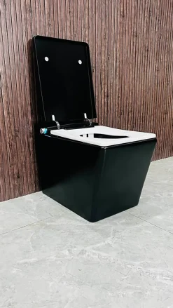 Wc Japonais|Japan Wc Toilette japonaise moderne Shinobi
