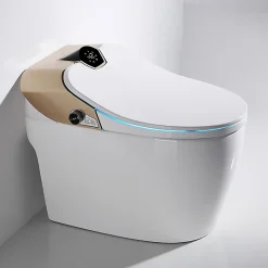 Japan Wc Toilette japonaise moderne Samourai