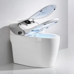 Japan Wc Toilette japonaise moderne Samourai