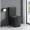 Stano Toilette WC à poser BRAGADO en ceramique noir mat
