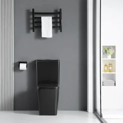Stano Toilette WC à poser BRAGADO en ceramique noir mat
